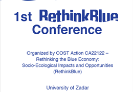Međunarodna konferencija „RethinkBlue"