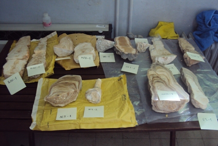 samples 1A_samples.JPG