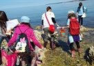 Život na rubu – zona plime, oseke i prskanja valova