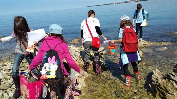 Život na rubu – zona plime, oseke i prskanja valova