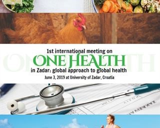 One Health: Global Approach to Global Health
