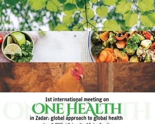 One Health: Global Approach to Global Health