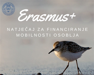 Erasmus+ natječaj za financiranje mobilnosti nastavnog i nenastavnog osoblja