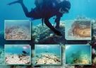 Objavljena knjiga “Prapovijesne maritimne konstrukcije na prostoru Dalmacije i Kvarnera = Prehistoric maritime structures in Dalmatia and Kvarner” autora Mate Parice