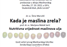 Maslinarski četvrtak