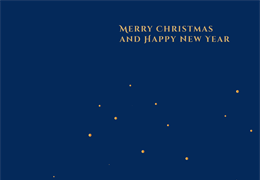 Merry Christmas and Happy New Year!