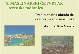 8. Maslinarski četvrtak