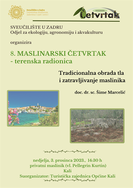 8. Maslinarski četvrtak