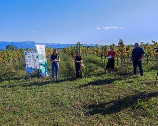 Prezentacija istraživanja učinkovitosti inovativnog Zeo-biopesticida u suzbijanju plamenjače