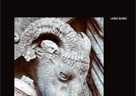 Objavljena nova knjiga izv. prof. dr. sc. Larisa Borića: "Stones of Zadar, Capital of Venetian Dalmatia"