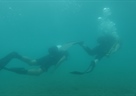 Održan „discovery dive“ predaktivnost Europskoj noći istraživača